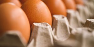 Care Homes are advised to avoid imported eggs