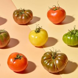 Fresh Direct launches 25 new products for Summer