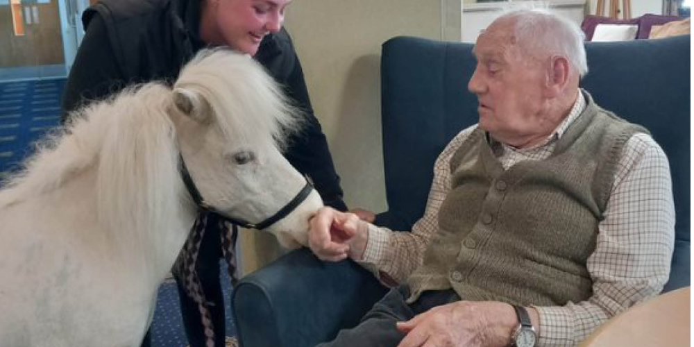 Ponies brought Christmas magic to Surrey Care Home