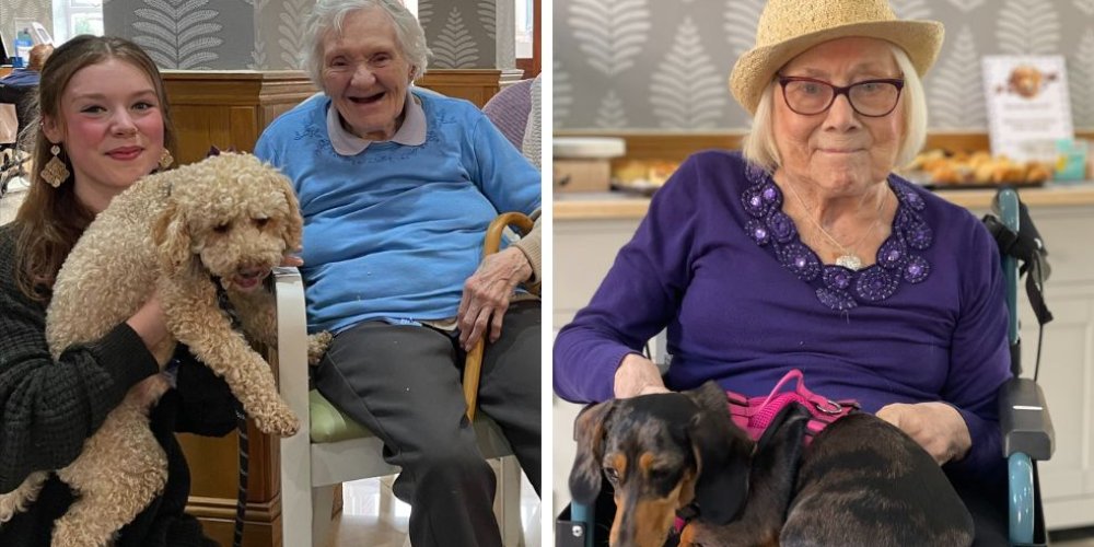 Sherrell House Care Home hosts its first Canine Coffee Morning